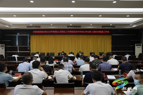 松桃召開(kāi)2022年穩(wěn)就業(yè)、保就業(yè)工作暨提高農(nóng)村勞動(dòng)力外出務(wù)工組織化程度工作會(huì)