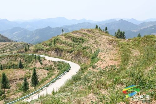 牛郎鎮(zhèn)：小花生“長(zhǎng)成”增收大產(chǎn)業(yè)  5000余畝花生采收忙