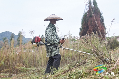 盤(pán)信鎮(zhèn)：高標(biāo)準(zhǔn)農(nóng)田建設(shè)忙