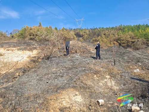 零容忍！松桃嚴懲4起違規(guī)野外用火行為