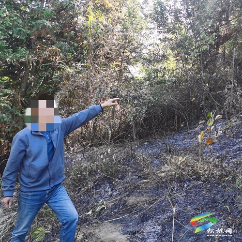 零容忍！松桃嚴懲4起違規(guī)野外用火行為