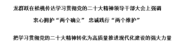 松桃傳達(dá)學(xué)習(xí)貫徹黨的二十大精神領(lǐng)導(dǎo)干部大會(huì)召開