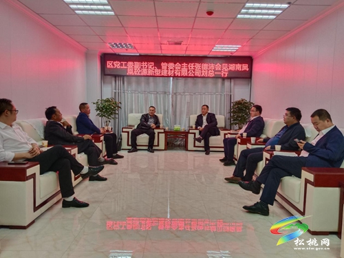 湖南鳳凰砼新型建材有限公司到我縣投資考察