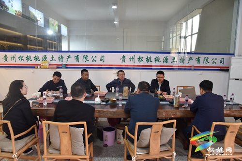 龍群躍到聯(lián)系服務(wù)重點(diǎn)企業(yè)調(diào)研