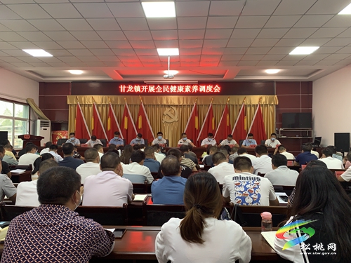 甘龍鎮(zhèn)：強(qiáng)化“三個(gè)保障”，為健康生活保駕護(hù)航