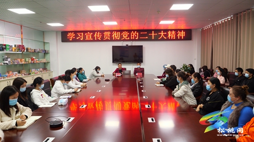 松桃“理論專家+省黨代表”進廠區(qū)宣講黨的二十大精神