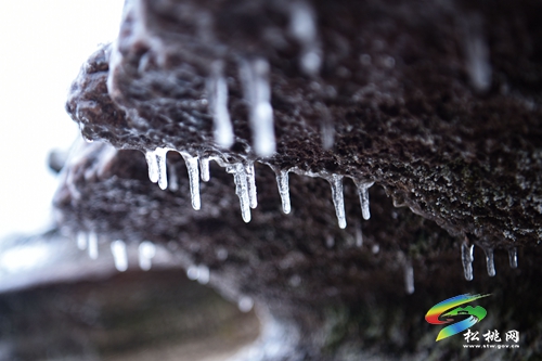 松桃：入冬第一場雪