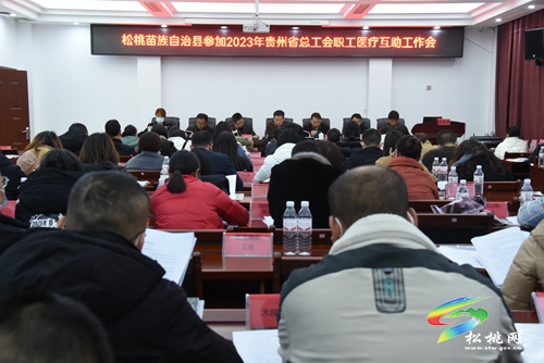 松桃召開參加2023年貴州省總工會職工醫(yī)療互助工作會