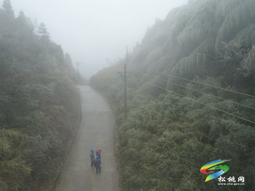 松桃：應(yīng)對寒潮雨雪天氣 線路巡維保供電