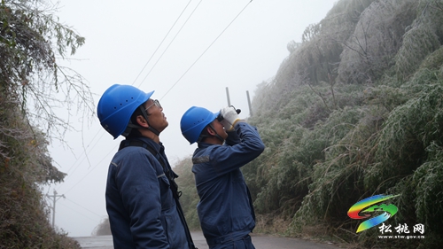 松桃：應(yīng)對寒潮雨雪天氣 線路巡維保供電