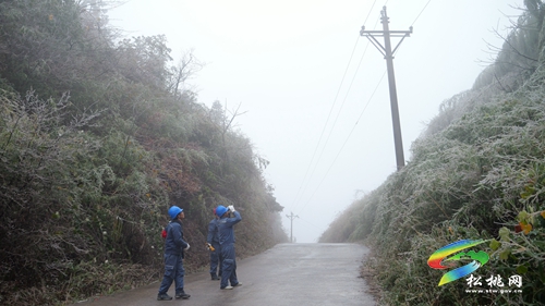 松桃：應(yīng)對寒潮雨雪天氣 線路巡維保供電