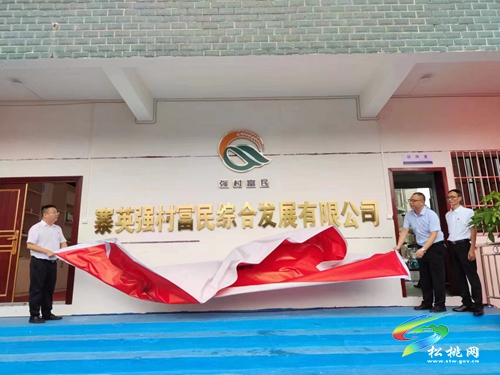 寨英鎮(zhèn)：聚焦強(qiáng)村富民助力鄉(xiāng)村振興