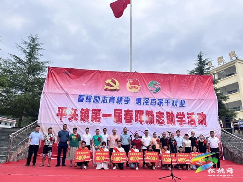 平頭鎮(zhèn)：聚焦“五大振興”，描繪平頭畫卷
