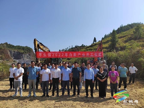 平頭鎮(zhèn)：聚焦“五大振興”，描繪平頭畫卷