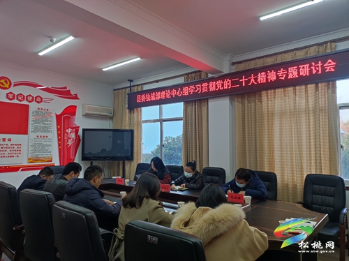 縣委統(tǒng)戰(zhàn)部理論中心組學(xué)習(xí)貫徹黨的二十大精神專題研討會