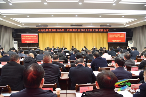 縣委2022年第22次常委會(huì)議召開