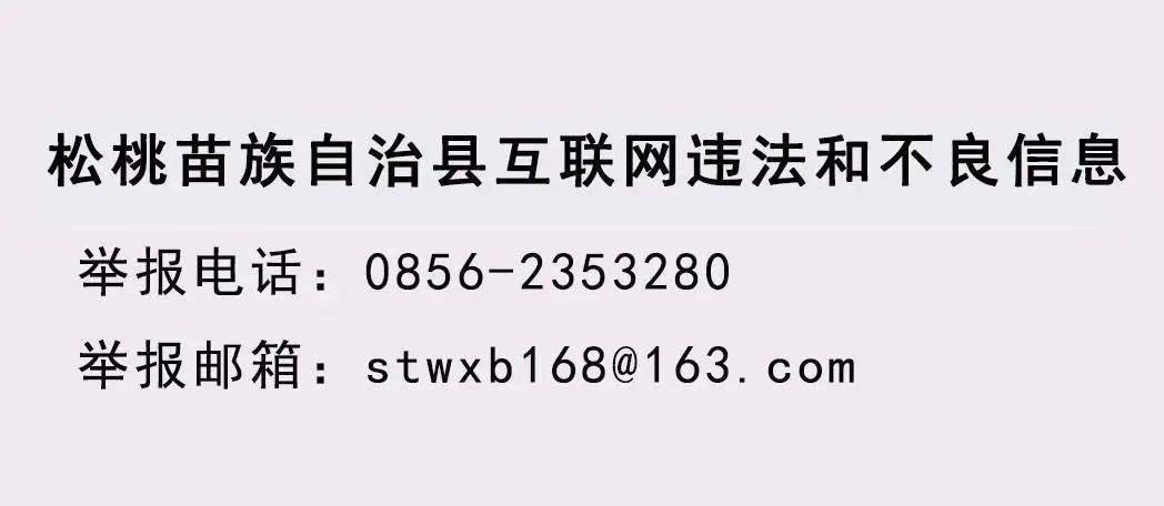 省自然資源廳來松桃調(diào)研錳資源配置情況和地災(zāi)防治工作