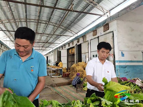 松桃煙葉專業(yè)化采烤為民紓困解難