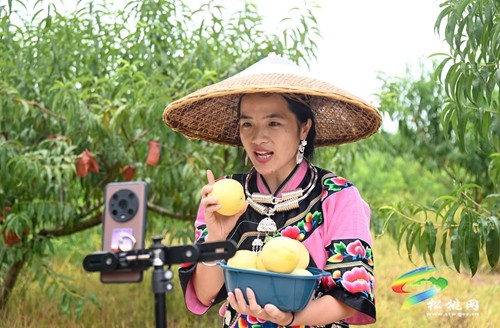 松桃：網(wǎng)紅達人齊助農 云端銷售促增收