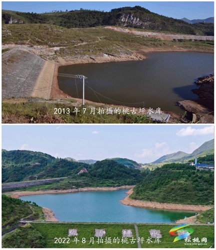 松桃：五座水庫為水稻“解渴”
