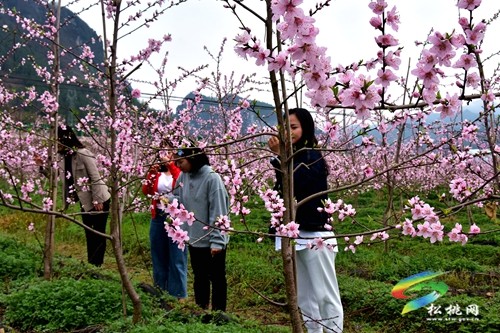 返鄉(xiāng)創(chuàng)業(yè)余永紅，發(fā)展產(chǎn)業(yè)促振興