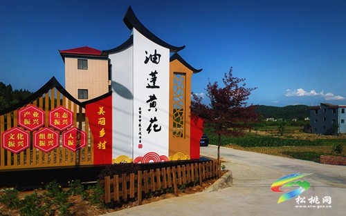 孟溪油蓬：創(chuàng)新“135”工作法打造“金果油蓬”