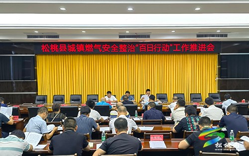松桃苗族自治縣城鎮(zhèn)燃?xì)獍踩巍鞍偃招袆?dòng)”工作推進(jìn)會(huì)召開