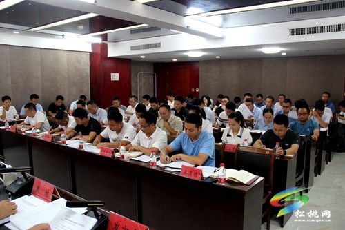全縣鞏固拓展脫貧攻堅(jiān)成果同鄉(xiāng)村振興有效銜接工作推進(jìn)會(huì)召開