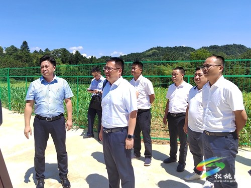 陳浩率隊到秀山縣考察錳污染治理工作