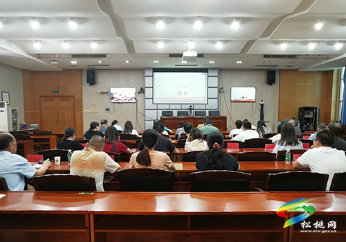 松桃收聽收看2022年健康銅仁建設(shè)工作推進會