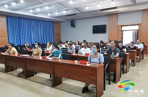 松桃收聽收看2022年健康銅仁建設(shè)工作推進會