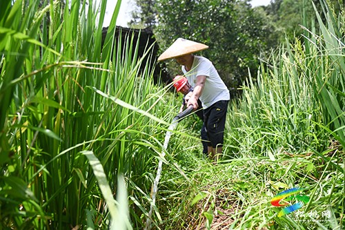 松桃供電局:全力服務(wù)抗旱保電保障農(nóng)田灌溉