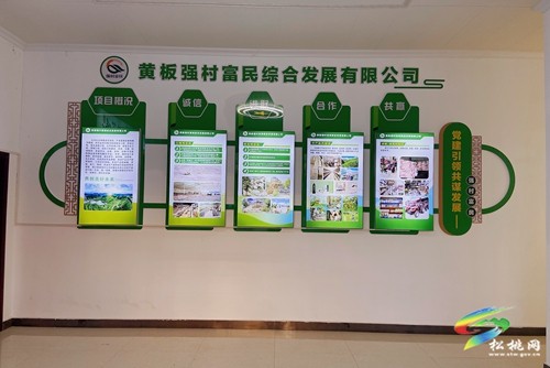黃板鎮(zhèn)：“黨建+國有企業(yè)”助強村富民