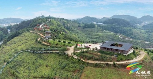 黃板鎮(zhèn)：“黨建+國有企業(yè)”助強村富民