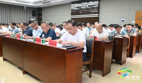 全縣2022年衛(wèi)生健康工作推進(jìn)會(huì)召開(kāi)