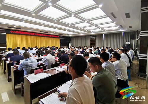 2022年縣委第16次常委會議召開