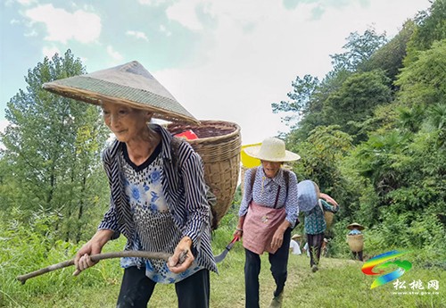 長坪鄉(xiāng)董汝村：群眾修繕水池 凝聚汗水換清泉