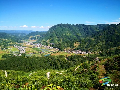 妙隘：依托高山產(chǎn)業(yè)  助力鄉(xiāng)村振興