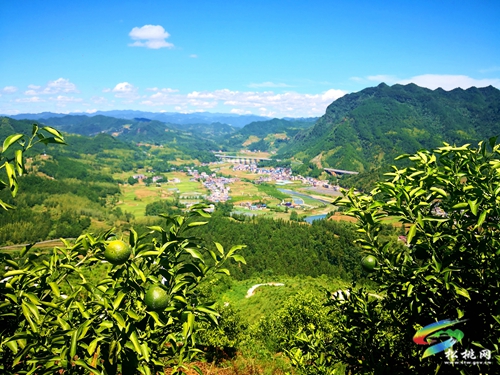 妙隘：依托高山產(chǎn)業(yè)  助力鄉(xiāng)村振興