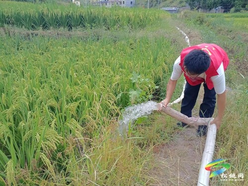加強(qiáng)“內(nèi)功”修煉  做新時代合格青年世昌街道：抗旱彰顯青年擔(dān)當(dāng)