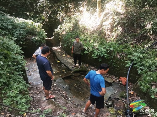 迓駕鎮(zhèn)：黨群同心抗旱保民生