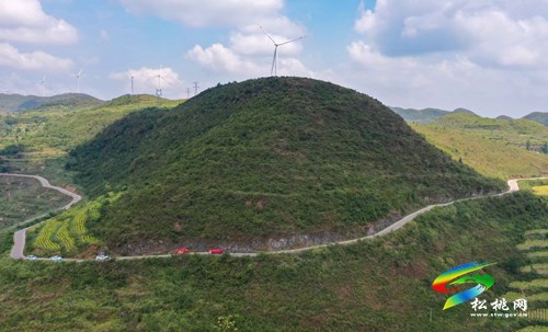 盤石鎮(zhèn)：“以村幫村”齊心協(xié)力抗旱情