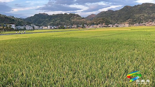 甘龍鎮(zhèn)：黨建引領(lǐng)“七個(gè)一”，推進(jìn)強(qiáng)村富民公司實(shí)體化運(yùn)行