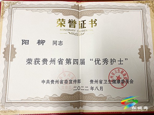 陽柳：從醫(yī)路上展巾幗風(fēng)采