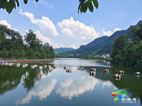 迓駕鎮(zhèn)：“三個(gè)舉措”樹新風(fēng)，移風(fēng)易俗入人心