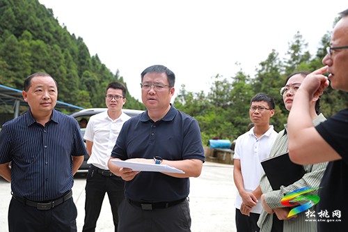 陳浩到烏羅鎮(zhèn)調(diào)研督導(dǎo)錳礦山綜合治理工作