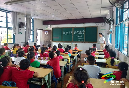 盤信鎮(zhèn)民族完小召開森林防火主題班會