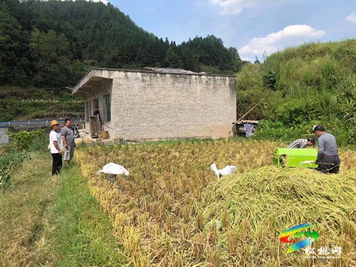 世昌街道：“六個到位”筑牢森林防火墻