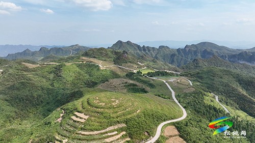 瓦溪鄉(xiāng)巖桑壩村：“野”果子變“家”產(chǎn)業(yè) 5000畝野生獼猴桃進入采摘期