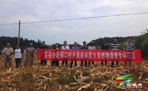 縣委辦赴聯(lián)系幫扶村開展森林防火易燃物清理專項(xiàng)行動